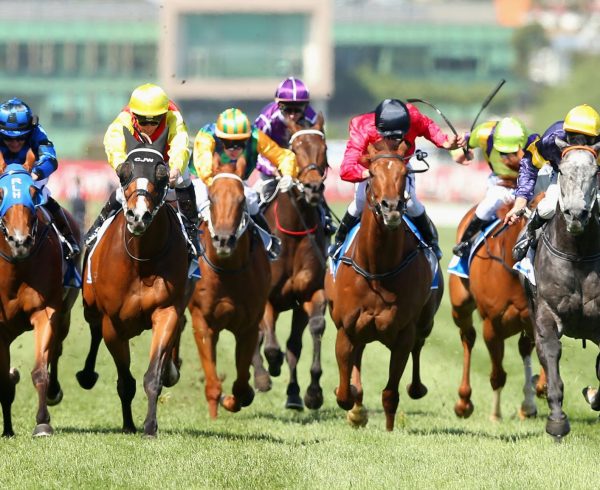Melbourne Cup catering provided by Cherry's Events